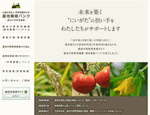 Tablet Screenshot of nochibank-niigata.com